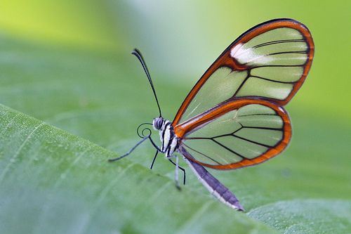 道教超度有哪些形式，道教超度作用大吗