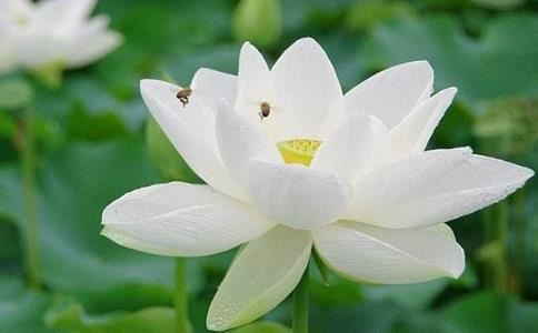 如何制作招财黑金符？打造旺财旺运人生