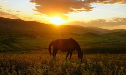 梦到自己喜欢的人？解析你不知道的梦境含义