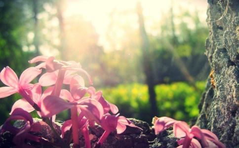 堕胎十几年婴灵怎么超度个人成功率低