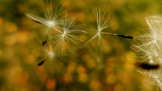 堕胎后的婴灵魂归何处