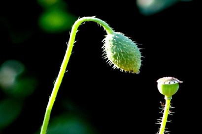婆媳关系不和怎么办 快用和合术来解决吧