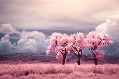 道教开光的步骤和方法