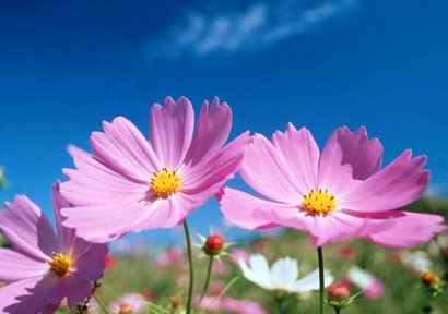 为孩子读文昌帝君阴骘文的好处，文昌帝君阴骘文