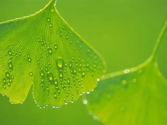 男女婚姻属相配对查询靠谱吗，应如何看待属相配对