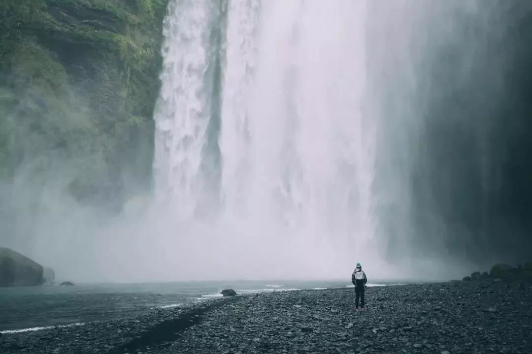 大熊猫生活环境特点 为何野外的生存环境难以满足