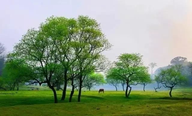 好朋友去世了怎么请和尚道士超度,好朋友去世做超度法事