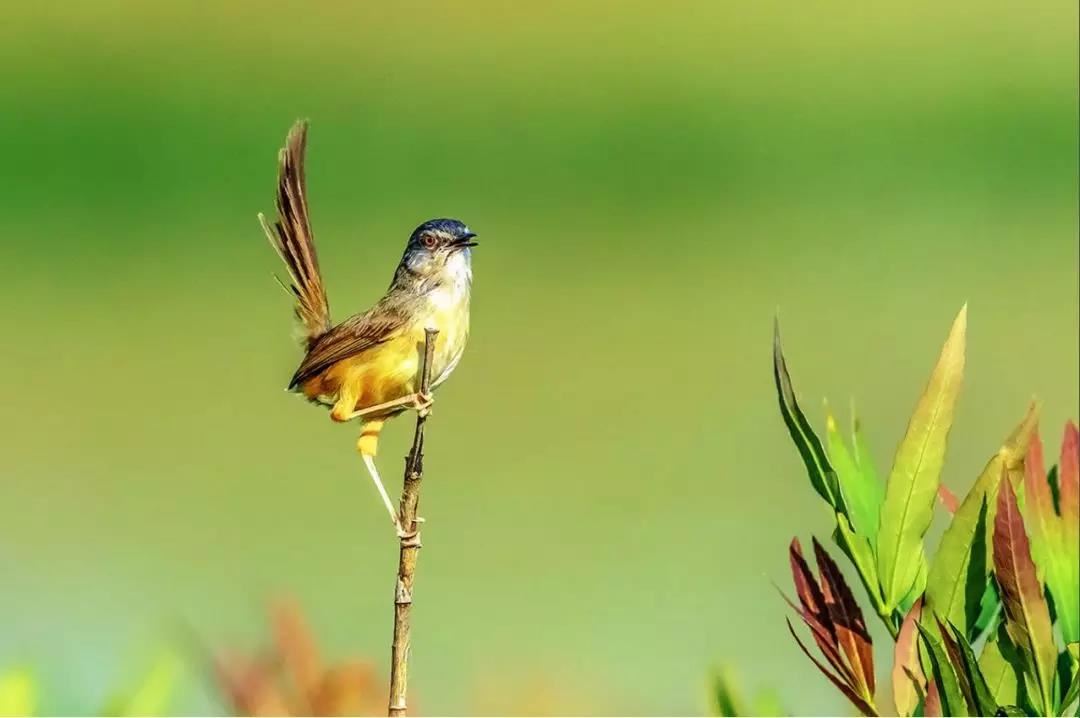 梦见自己高考？不要紧张,这些经验告诉你如何应对各种情况