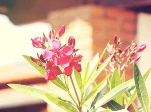 怎样锻炼情商和口才 这三个方法让你的情商和口才越来越好