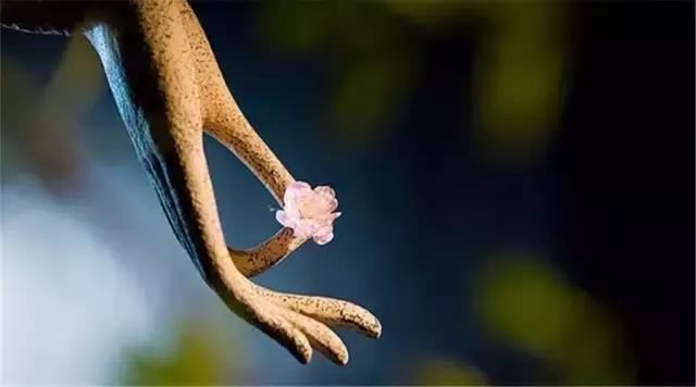 禄位代表什么意思,长生禄位怎么填写