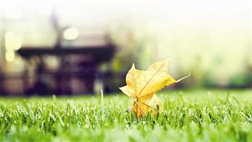 什么是童子命，童子命要如何化解