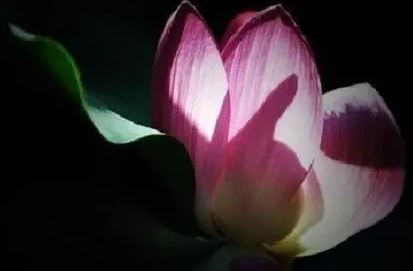 孩子去世了怎么请和尚道士超度,孩子去世做超度法事