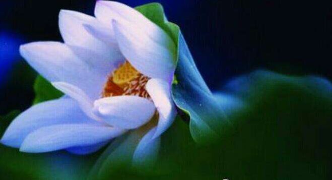 如何改变八字给你带来的运势这几个方法是年轻人的新宠儿