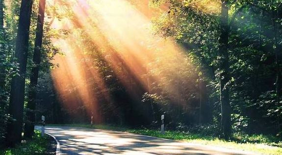 请符对孕妇是否有用？|符咒和孕期有什么关系？|请符功效是否适用于孕妇？