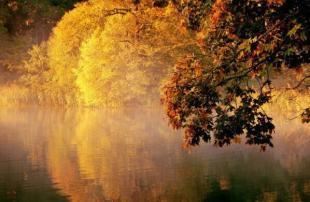 道教法会可以随便拍摄吗？这些事千万不能做！