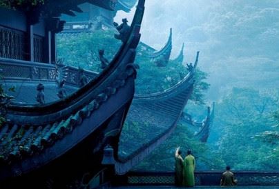 本命年的兔运势如何，这一年感情运势好不好