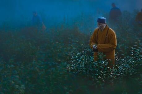 一直遇到烂桃花怎么办,别伤心,4个妙招避开渣男