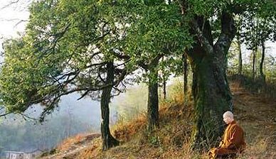 道门法事、佛门法事、仙门法事