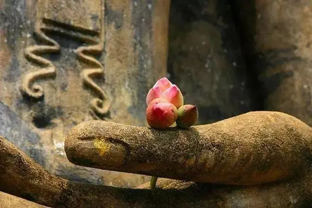 超度婴灵真的灵吗，这是因为你不知道婴灵的危