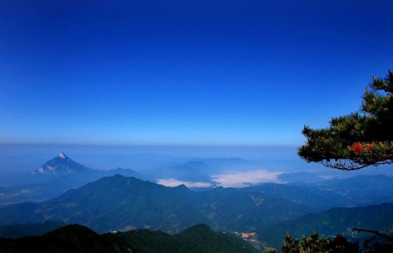 打胎,流产的婴灵怎么超度？推荐真实有效的方法！