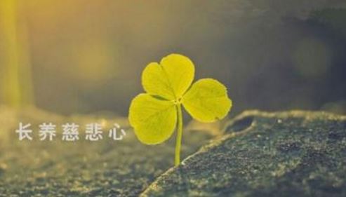 生辰八字查冤亲债主,冤亲债主化解最快方法