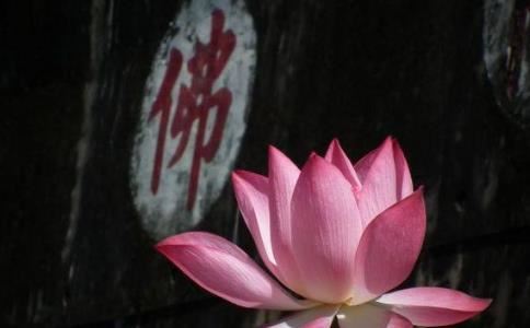 如何获取英雄联盟手游转运符？免费送福利等你拿