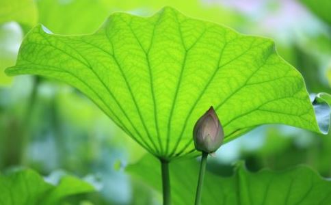 姐姐去世了怎么请和尚道士超度,姐姐去世做超度法事