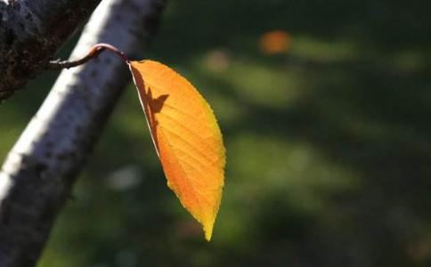 做梦梦见被追杀一直在逃跑是什么意思？|梦境解析与心理疏导