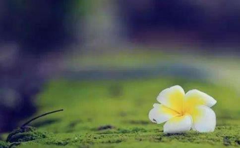 第一类童子命不用化解，其中的奥秘你看完就懂了