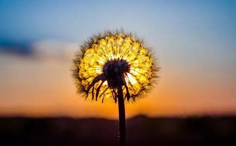 捐建庙观善行传承