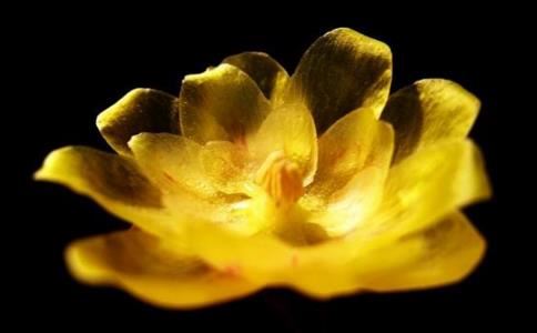 民间流传甚广的转运方法