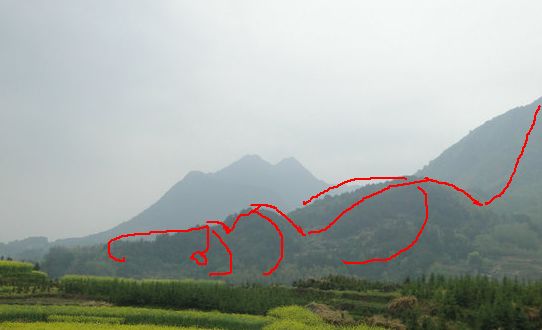 八字命局多次“婚变”，如何着手准确“推断”？