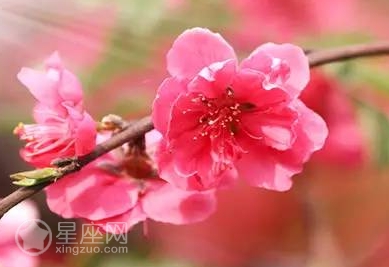 生辰八字免费查婚姻