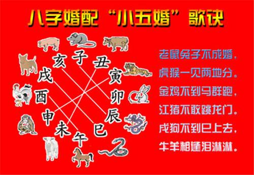 猪和老鼠生辰八字婚姻配吗