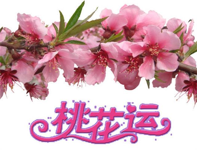 周易算命生辰八字婚姻k366