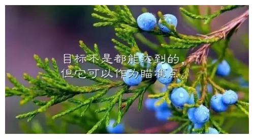 婚姻需要详细的生辰八字吗