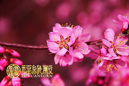 生辰八字怎么算婚姻