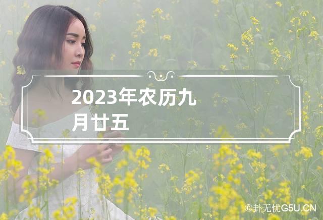 2023年农历九月廿五,2023年农历九月廿五是多少号