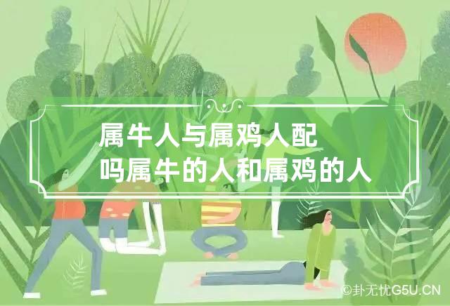属牛人与属鸡人配吗,属牛人与属鸡人配吗婚姻好吗