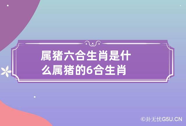 属猪六合生肖是什么,属猪的6合生肖