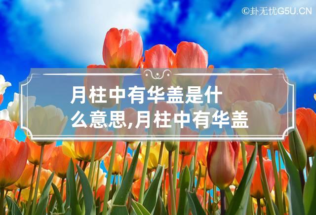 月柱中有华盖是什么意思,月柱中有华盖特点,八字月柱有华盖
