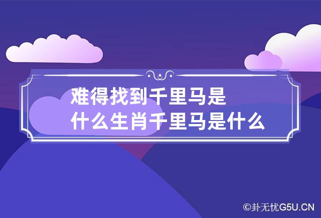 难得找到千里马是什么生肖,难得找到千里马猜生肖