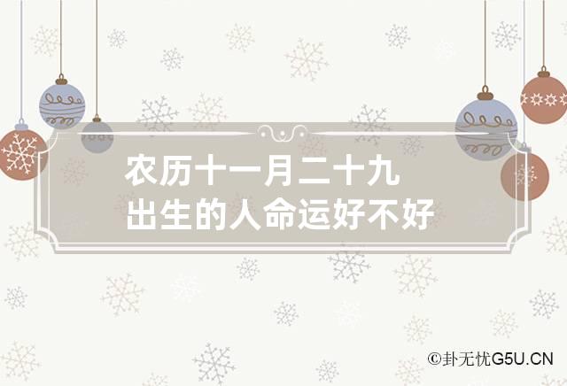 农历十一月二十九出生的人命运好不好,农历十一月二十九出生是什么星座
