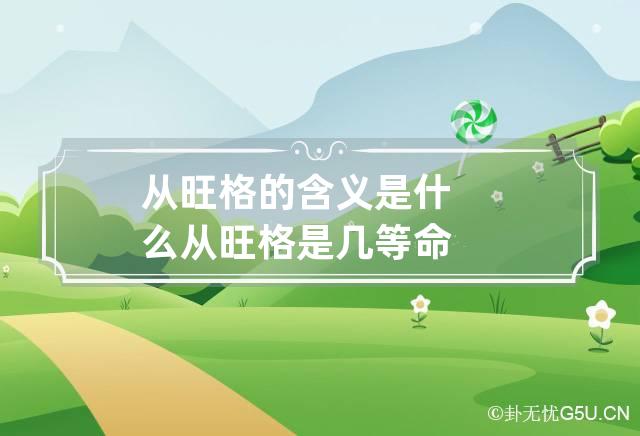 从旺格的含义是什么,什么是从旺格的八字