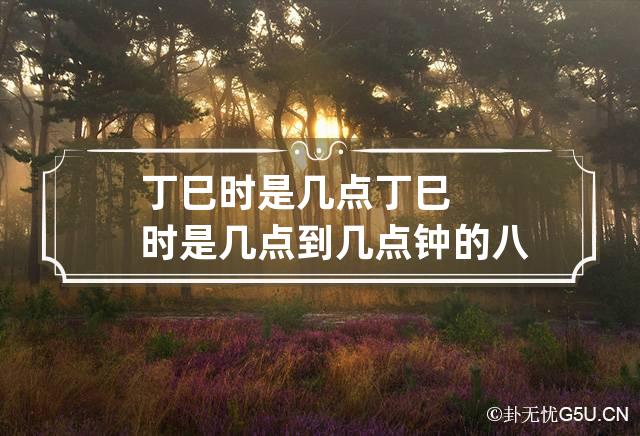丁巳时是几点,庚申时是几点