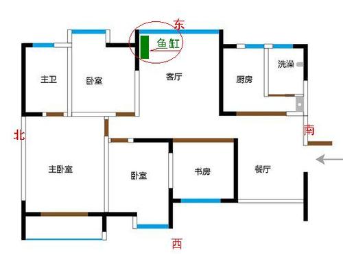 鱼缸风水摆放哪个位置 鱼缸风水摆放哪个位置图