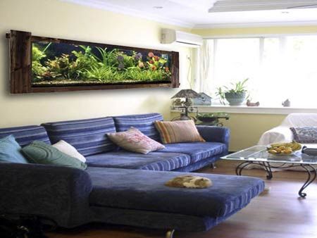 鲁公讲家装：我们在家具摆放时鱼缸应该如何摆放，才能风水旺家运