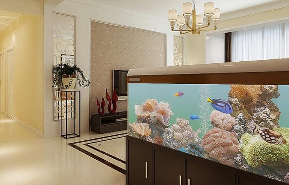 鲁公讲家装：我们在家具摆放时鱼缸应该如何摆放，才能风水旺家运