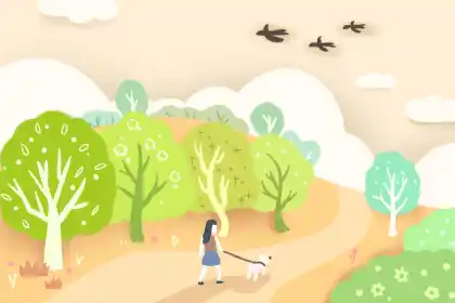 家居装修需要注意哪些风水？