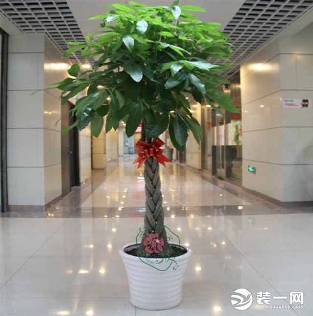 家居风水摆放规矩